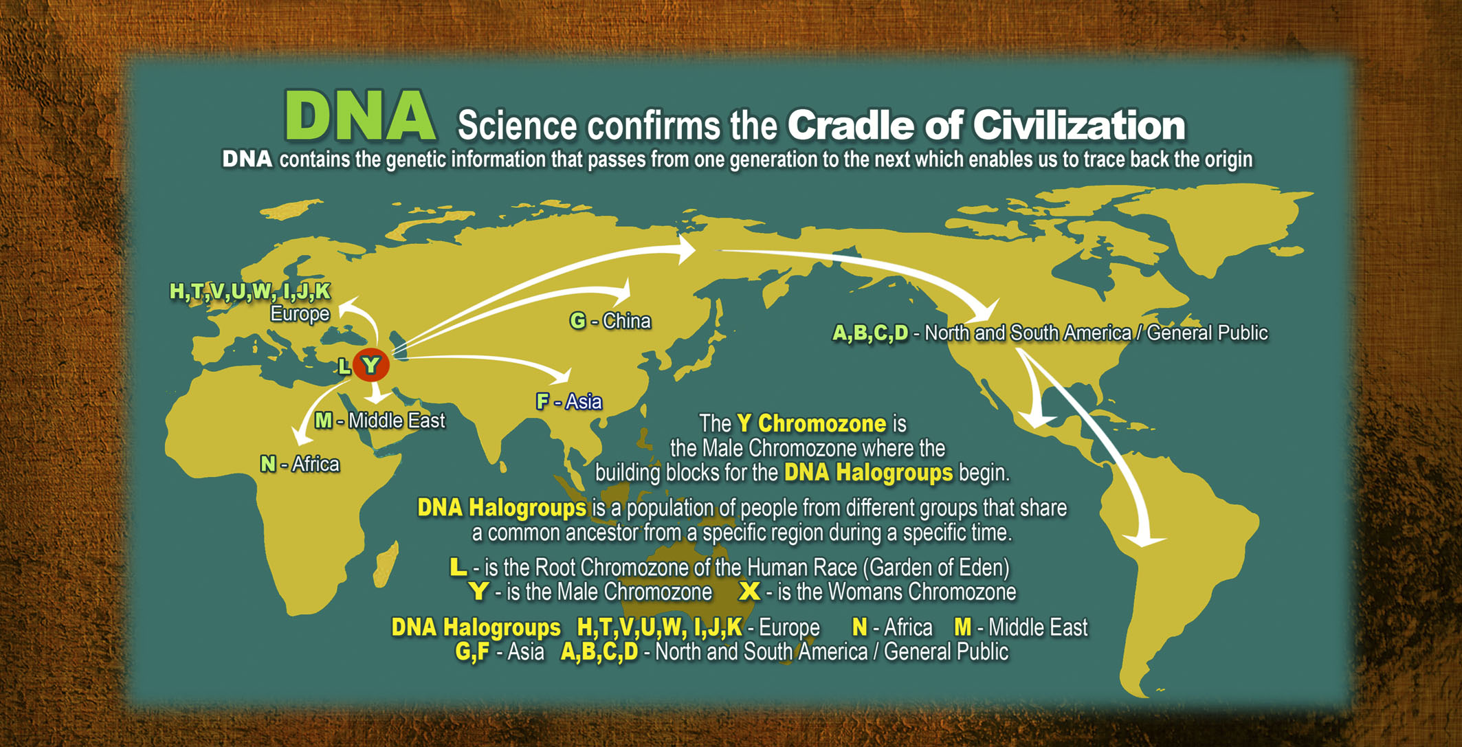 14 H DNA Science