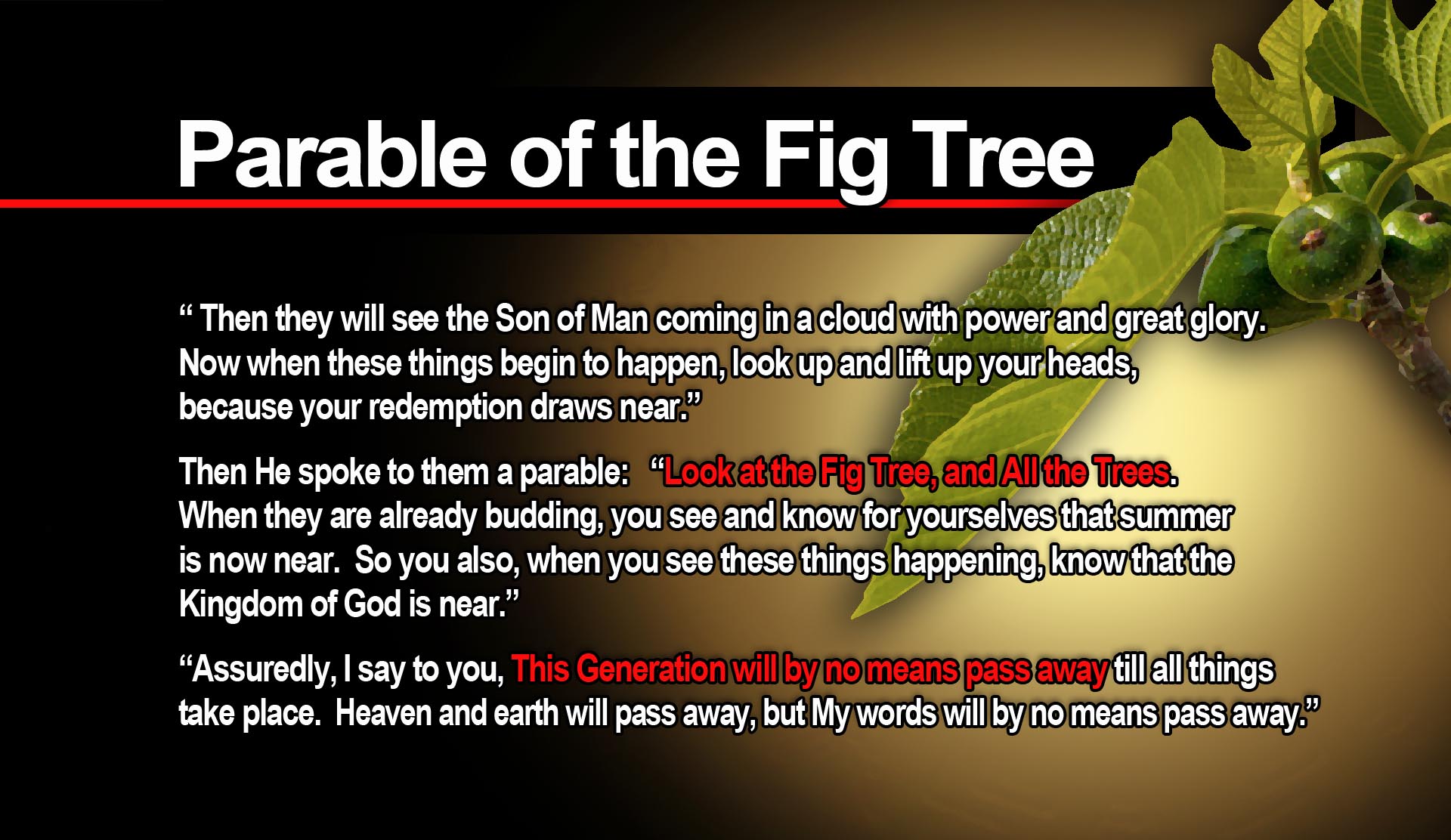 2 FigTree
