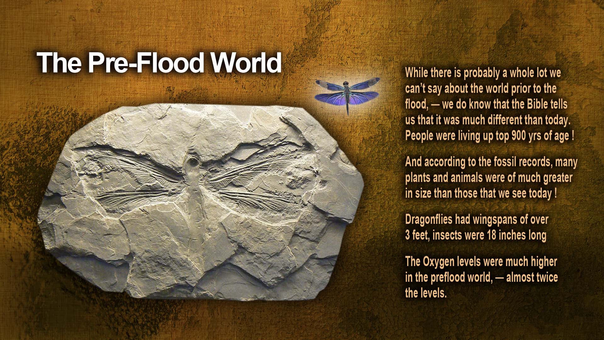 Time3 4Preflood1