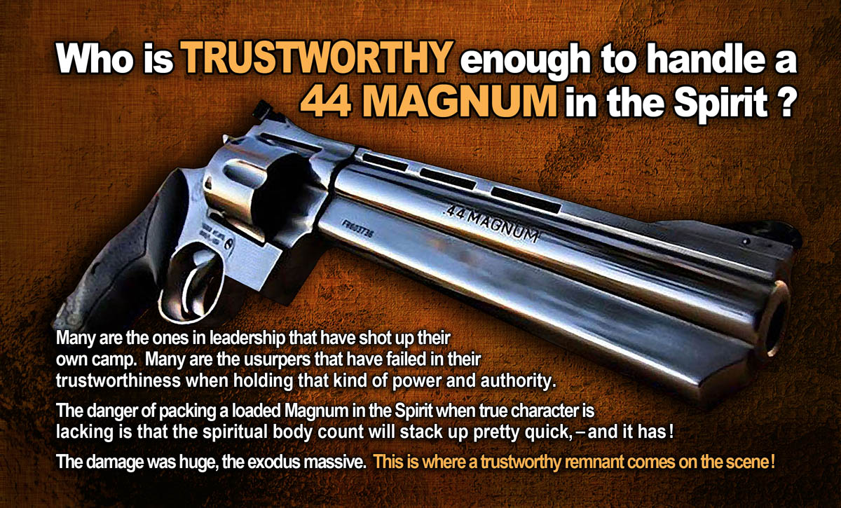 44MagnumSpiritRemnant12