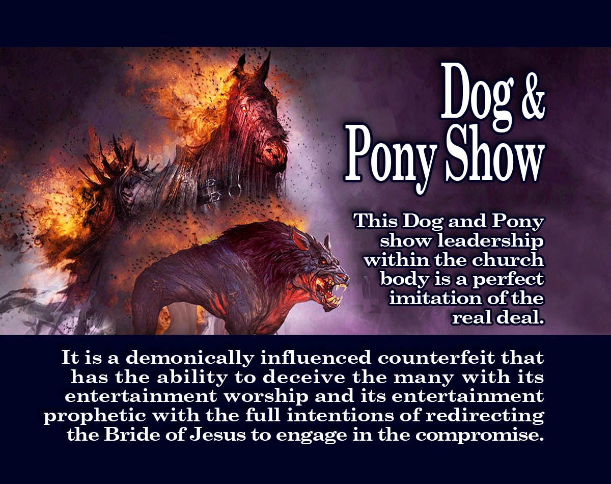 DogPonyShow