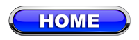 Home Button