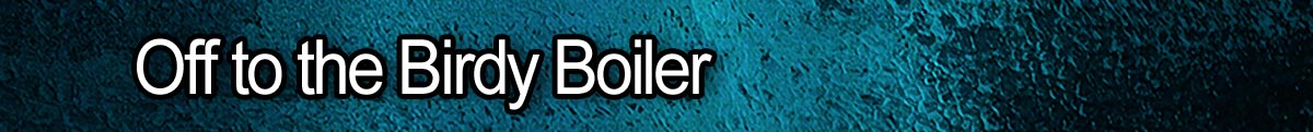 Index BirdyBoiler
