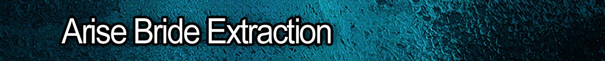 Index BrideExtraction