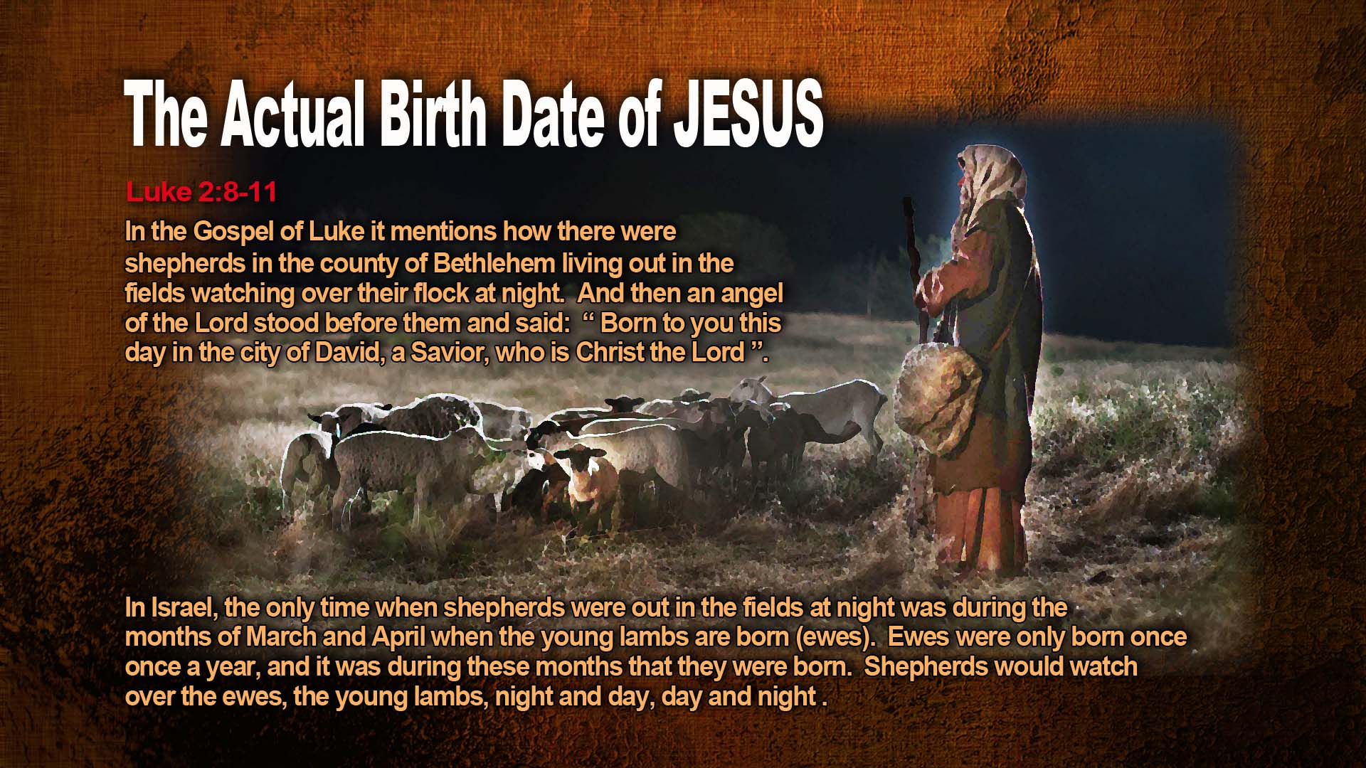ShepherdsLambsNight