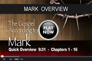 Mark overview video B