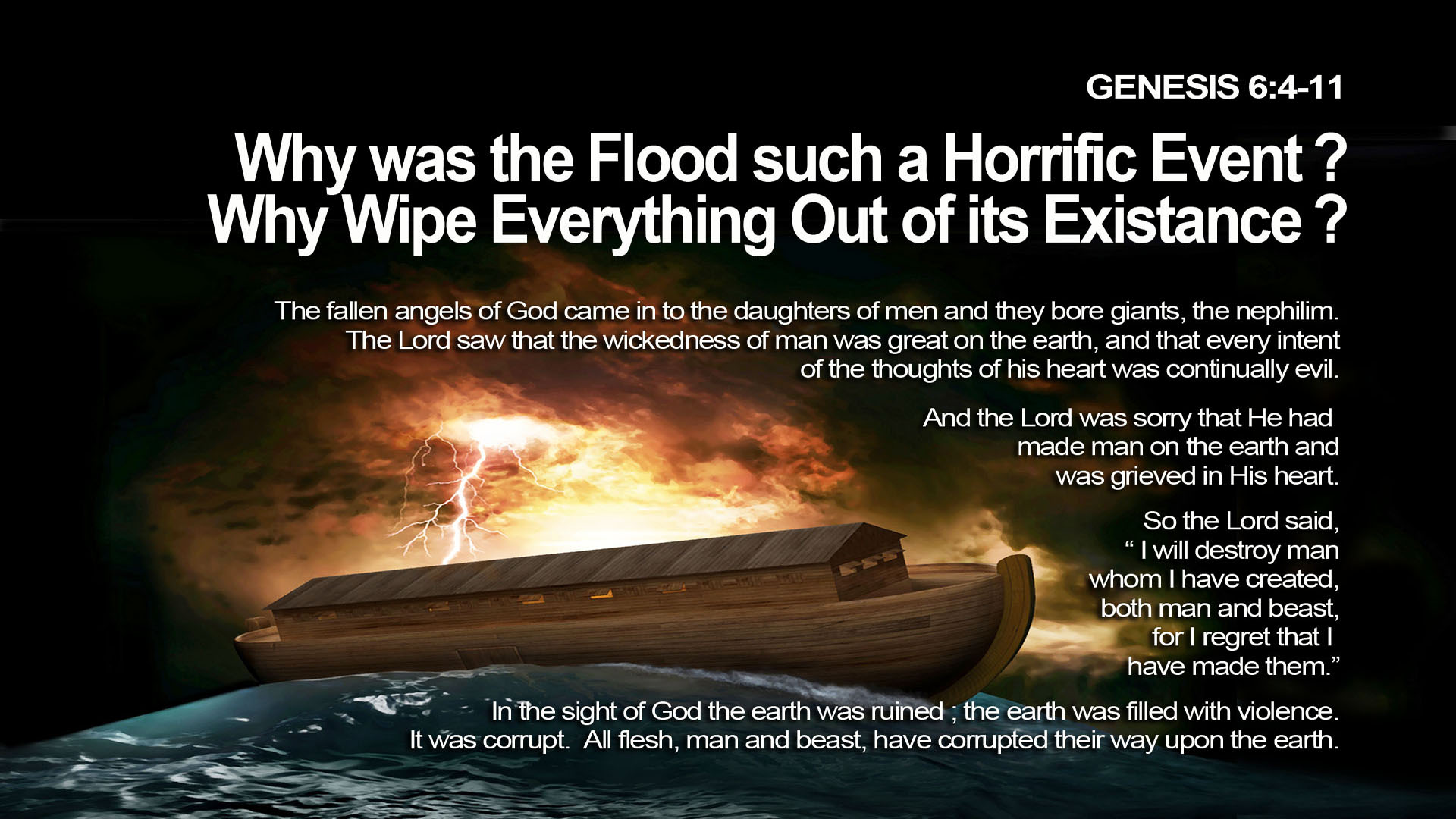 Noah1