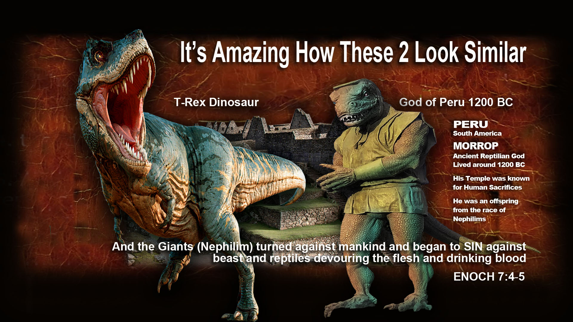 Noah3 TrexKing