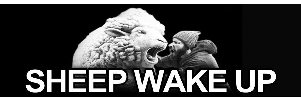 SheepWakeUp2bw