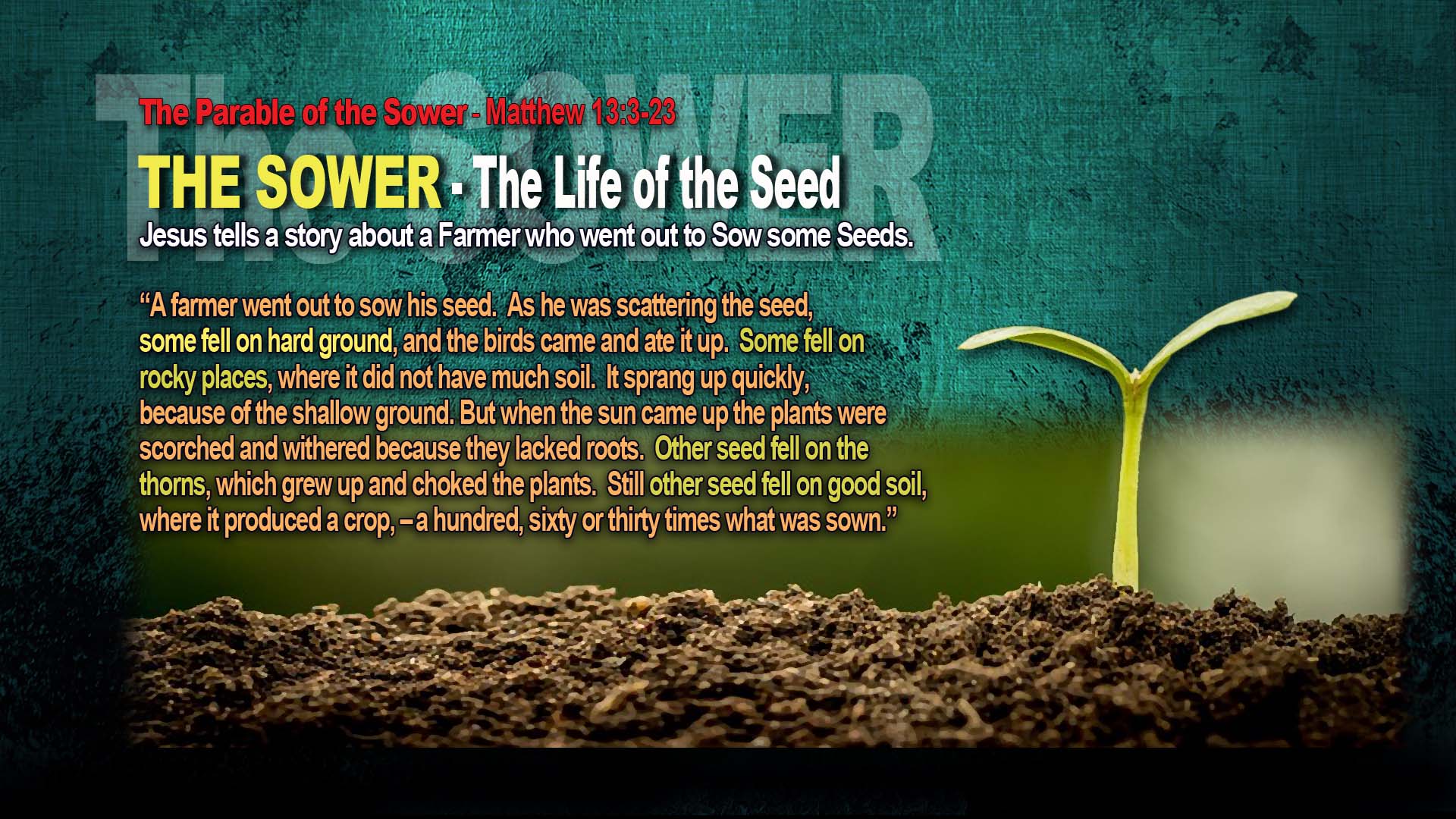 Sower1