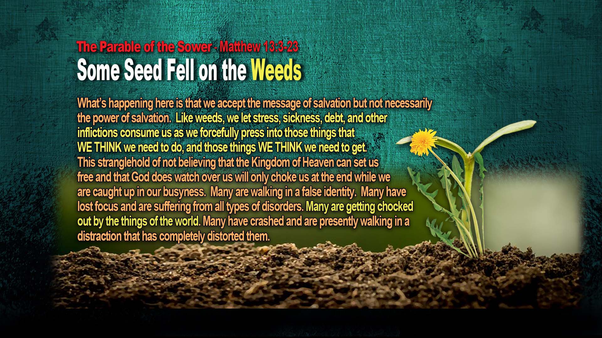Sower4