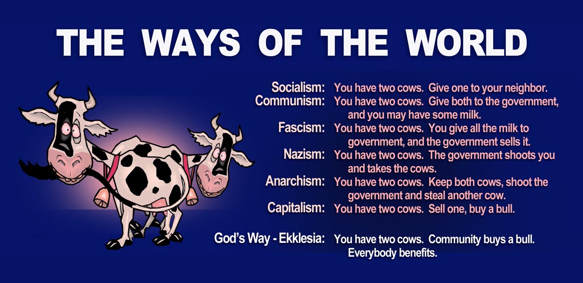 TwoCowsEkklesia41